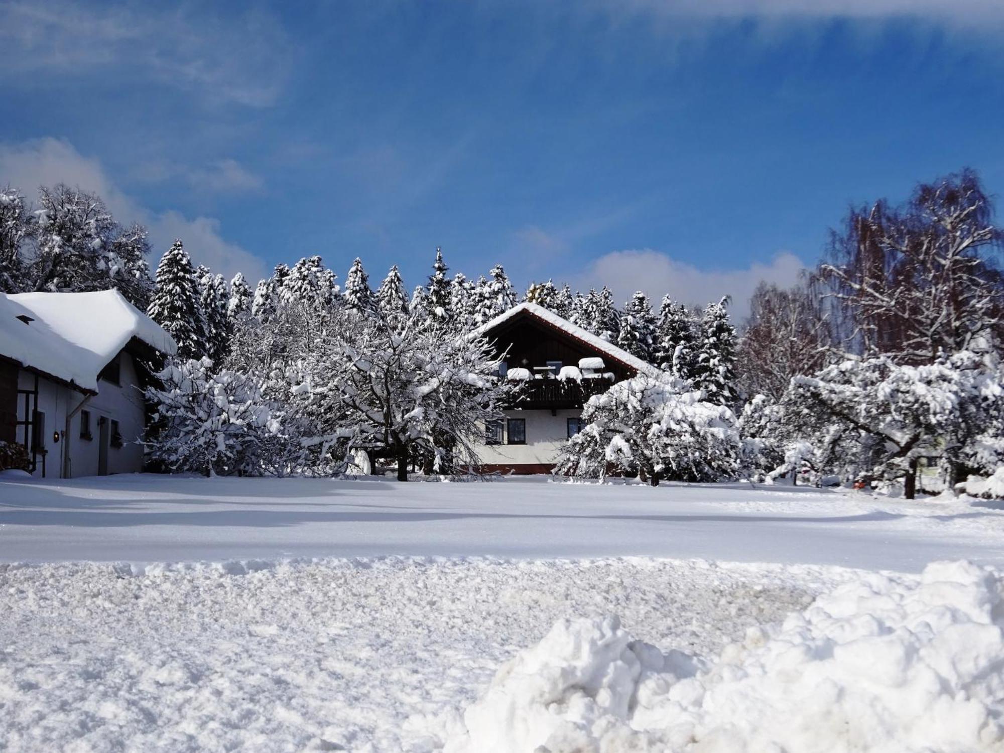 Holiday Home In Lossburg Near The Ski Area Eksteriør bilde